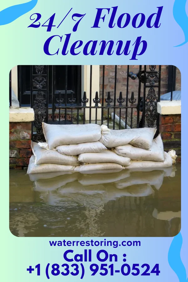24/7 Flood Cleanup in Hayfield, MN