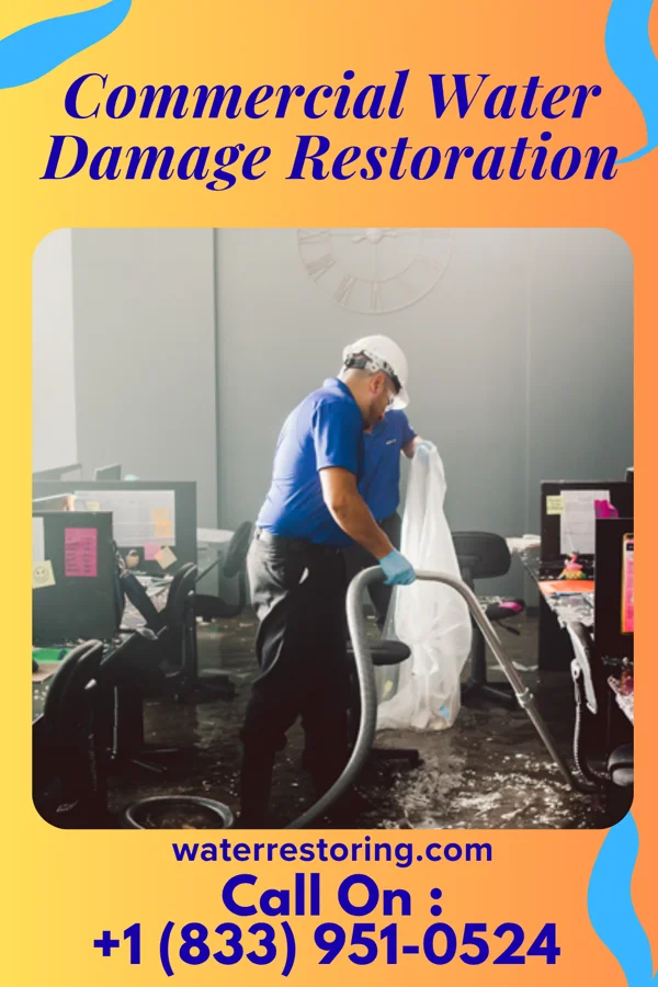 Commercial Water Damage Restoration in Hayfield, MN